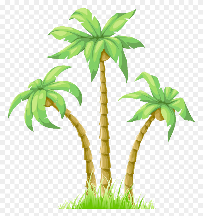 868x928 Graphic Black And White Cartoon Poster Coconut Palm Trees Drawing Colorful, Plant, Tree, Palm Tree HD PNG Download