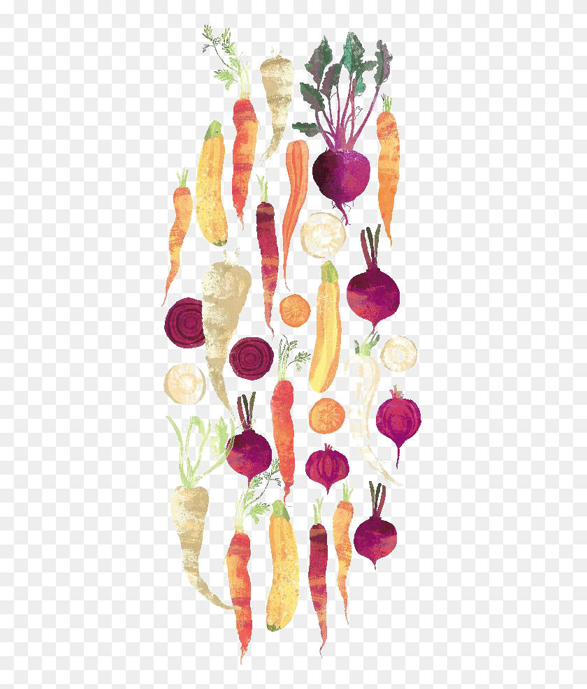 393x927 Graphic Black And White Library Carrot Clipart Watercolor Vegetable, Chandelier, Lamp, Plant HD PNG Download