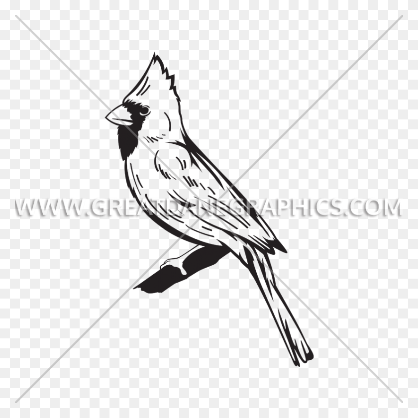 825x825 Graphic Black And White Library Collection Of Free Cardinal Logo Bird White And Black, Jay, Animal, Finch HD PNG Download