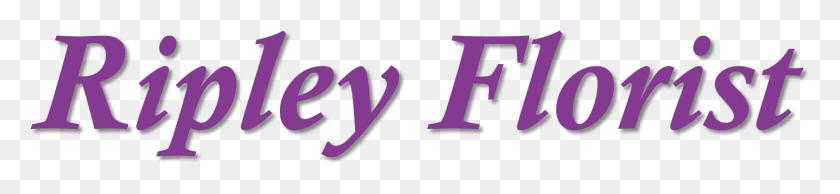 1442x248 Graphic Design, Text, Alphabet, Word HD PNG Download