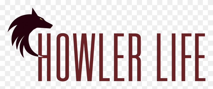 2699x1008 Graphic Design, Number, Symbol, Text HD PNG Download