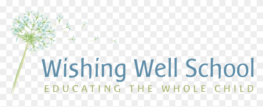954x345 Graphic Design, Text, Alphabet, Word HD PNG Download