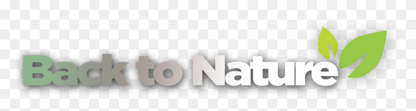 1086x230 Graphic Design, Text, Label, Word HD PNG Download
