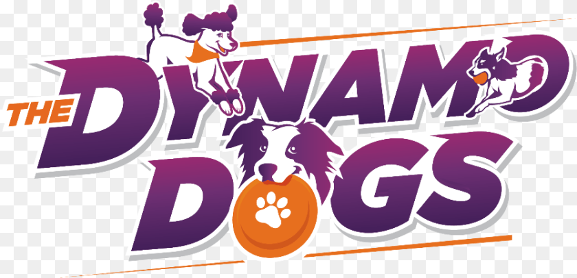 897x434 Graphic Design, Logo, Pet, Mammal, Animal Sticker PNG