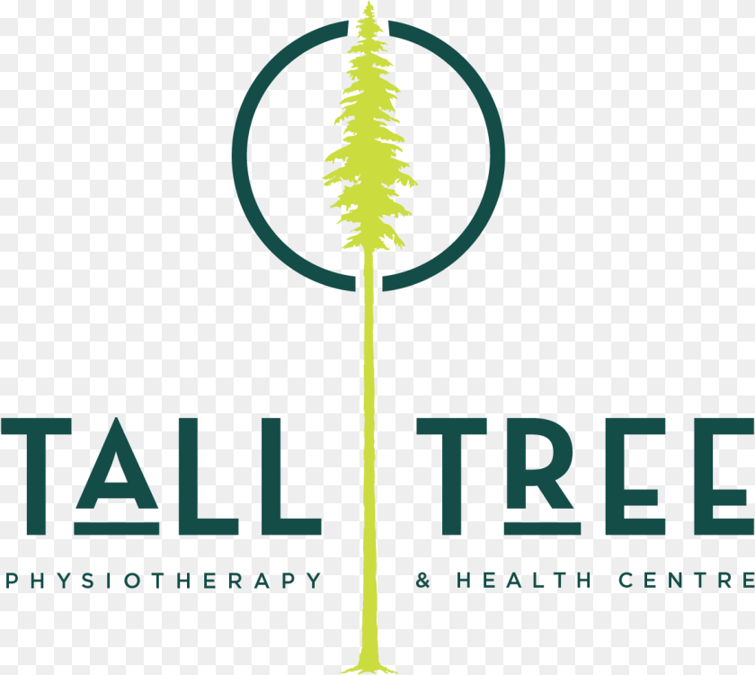 Graphic Design, Plant, Tree, Grass Transparent PNG