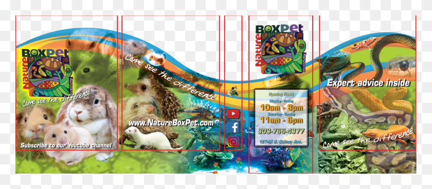 1364x539 Graphic Design By Dwross For Nature Box Pet Emporium Non Sporting Group, Dog, Canine, Animal Descargar Hd Png