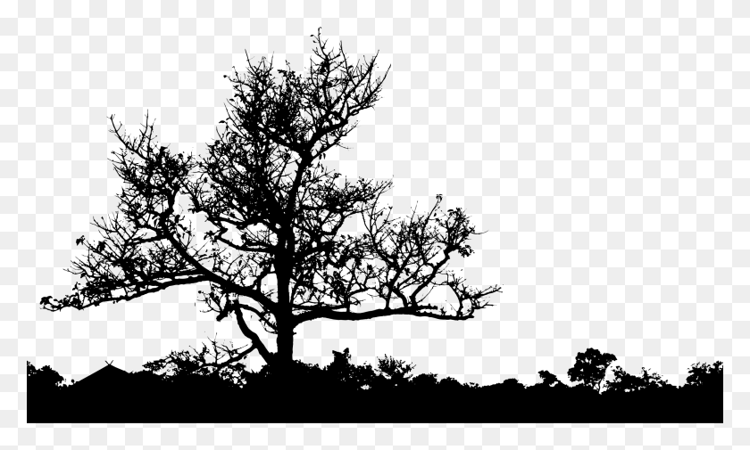 2400x1372 Graphic Free Clipart Leafless Tree Silhouette Big Image Landscape Silhouette Black And White, Gray, World Of Warcraft HD PNG Download