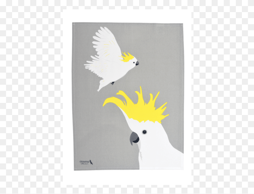 426x581 Graphic Free Cockatoo Birds Tea Towel Hardtofind Accipitriformes, Parrot, Bird, Animal HD PNG Download