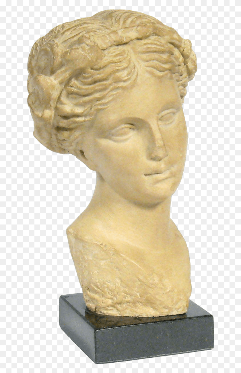 655x1236 Graphic Freeuse Classical Drawing Greek Bust Bust, Head, Sculpture HD PNG Download