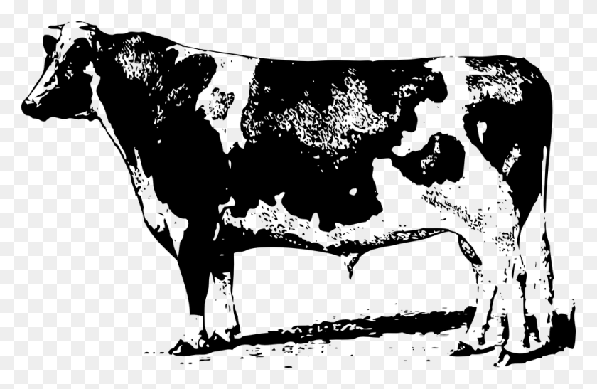 960x600 Graphic Freeuse Dairy Shop Of Library Buy Cow Drawing, Gray, World Of Warcraft HD PNG Download