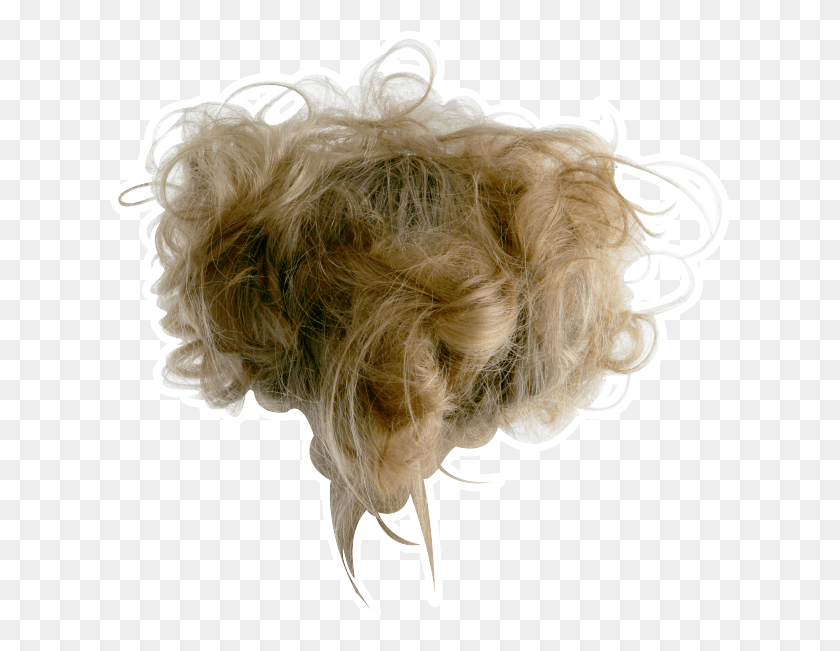 621x591 Graphic Messy Hair, Pillow, Cushion, Dog HD PNG Download