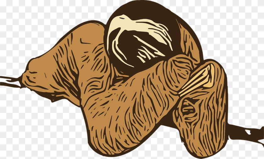 960x579 Graphic Sloth Wild Rainforest Animal Wildlife Naked Mole Rat, Mammal, Three-toed Sloth, Adult, Male Clipart PNG