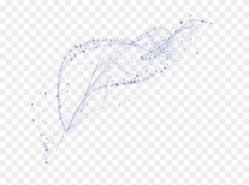 640x564 Graphic Star Light Effect Background Drawing, Animal, Sea Life, Bird HD PNG Download