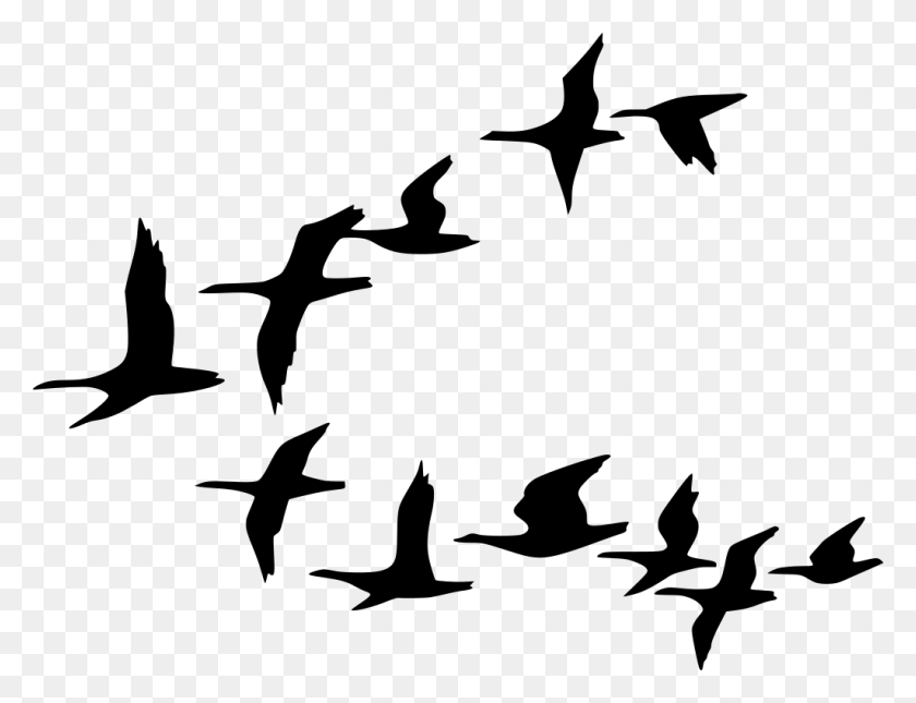 1024x768 Graphic Stock Birds Svg Flock Birds Migrating Clip Art, Gray, World Of Warcraft HD PNG Download