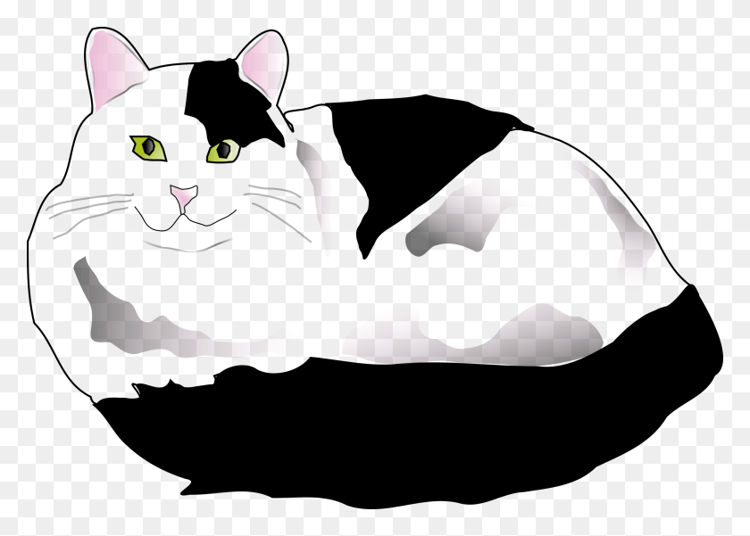 2400x1665 Graphic Transparent Clipart Black And White Cat Fluffy White Cartoon Cat, Black Cat, Pet, Mammal HD PNG Download