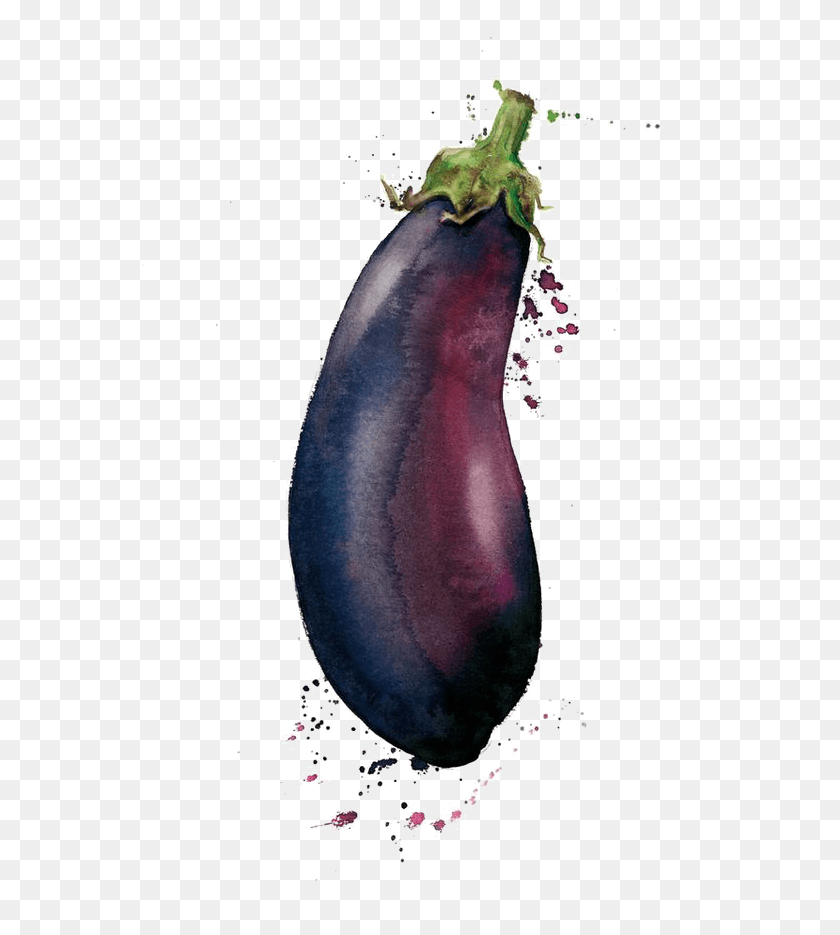 564x875 Graphic Transparent Library Eggplant Drawing Watercolour Eggplant, Plant, Vegetable, Food HD PNG Download