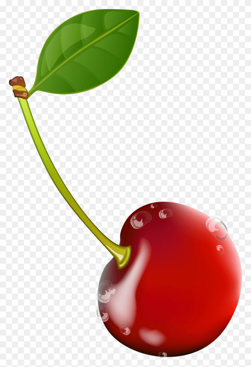 1500x2241 Graphic Transparent Red Transprent Free, Plant, Fruit, Food HD PNG Download