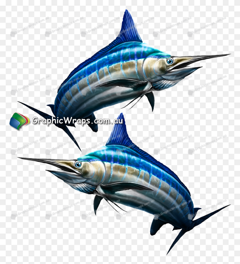 860x956 Графика Атлантический Голубой Марлин, Рыба-Меч, Морская Жизнь, Рыба Hd Png Скачать