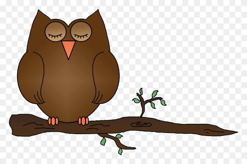 1378x882 Graphics By Ruth Owls Clip Art Sleeping Owl, Animal, Bird, Plant HD PNG Download