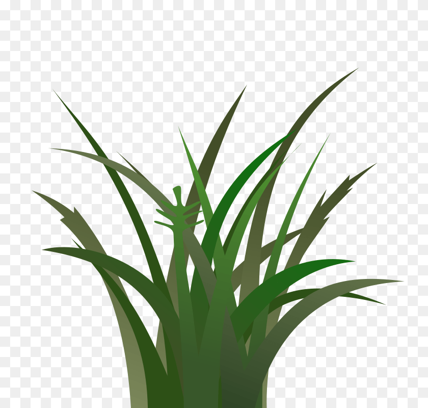Gras Animated Clipart, Grass, Green, Plant, Vegetation PNG