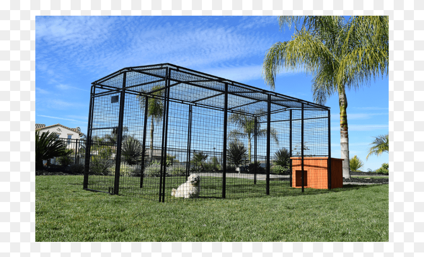 701x449 Grass, Kennel, Dog House, Den HD PNG Download