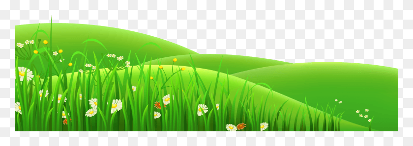 6001x1837 Трава Фон Клипарт, Зеленый, Растение, Растительность Hd Png Скачать