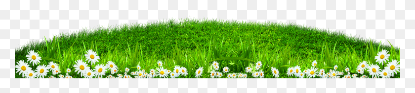 5907x988 Grass Border HD PNG Download