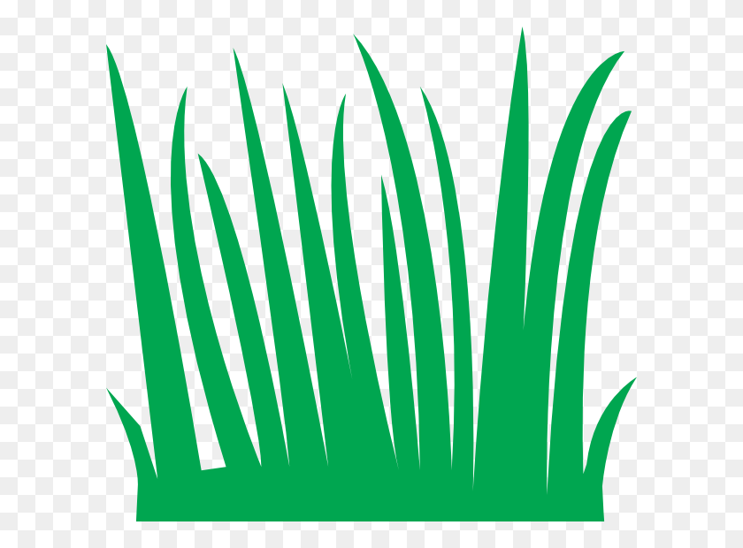 600x560 Grass Cartoon Grass, Logo, Symbol, Trademark HD PNG Download