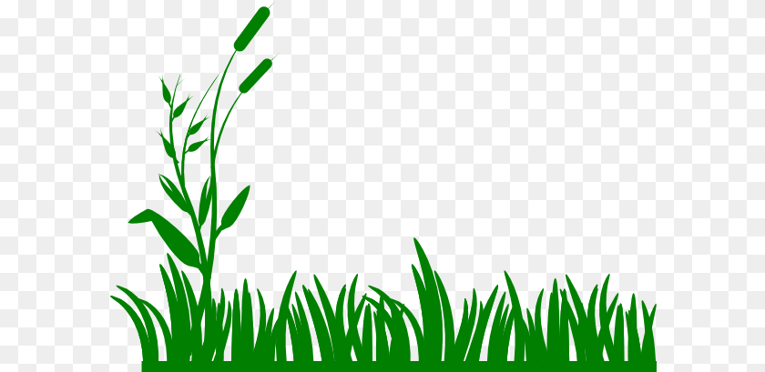 Grass Cartoon Image Grass Black And White, Aquatic, Green, Plant, Vegetation Sticker PNG