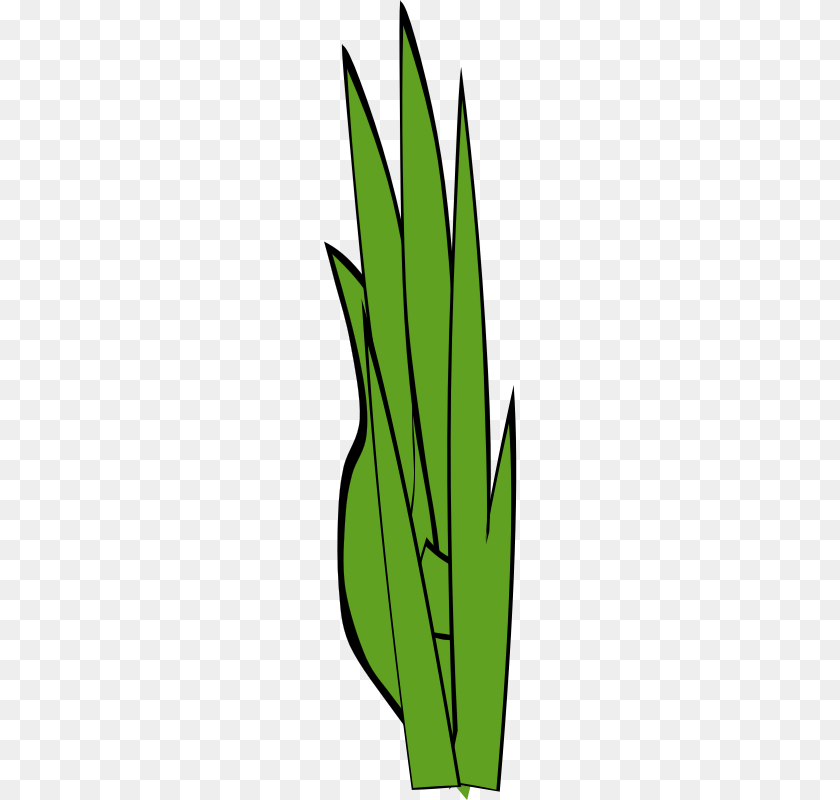 Grass Clip Art, Green, Leaf, Plant, Weapon Transparent PNG