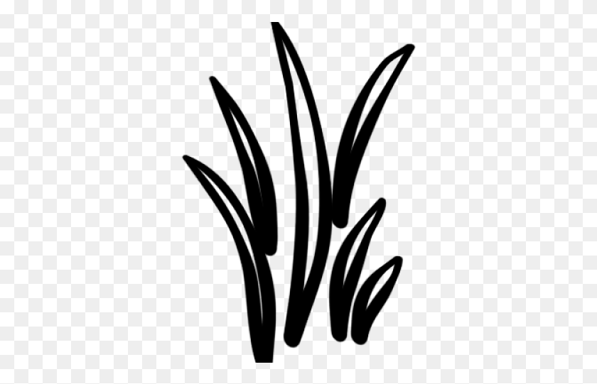 332x481 Grass Clipart Blanco Y Negro Agave, Al Aire Libre, Gris, La Naturaleza Hd Png