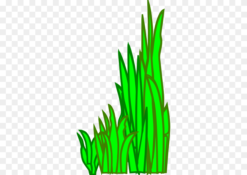 318x598 Grass Clipart For Web, Green, Plant, Vegetation, Leaf Transparent PNG