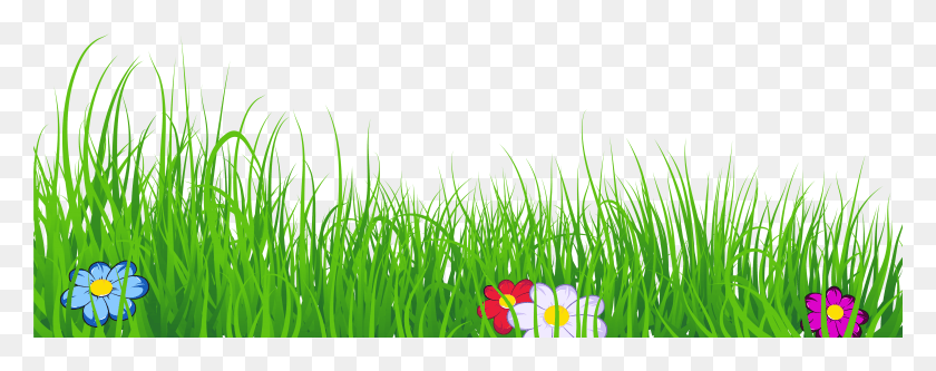 6001x2102 Grass Clipart Transparent Background Grass Clipart Grass Clipart Clear Background, Plant, Outdoors HD PNG Download