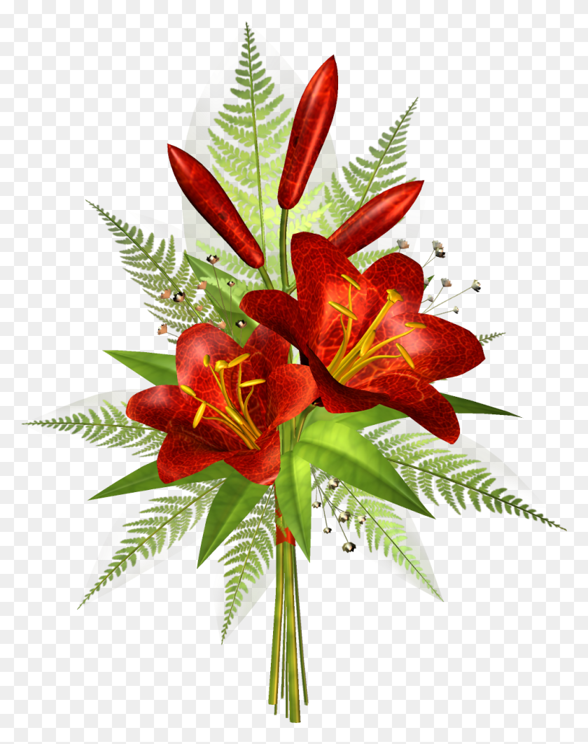 990x1274 Png Цветочное Украшение, Растение, Цветение, Лилия Png