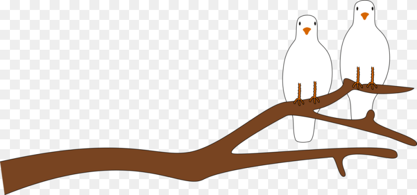 Grass Cutting Green Choice Landscape, Animal, Bird, Pigeon, Fish Sticker PNG