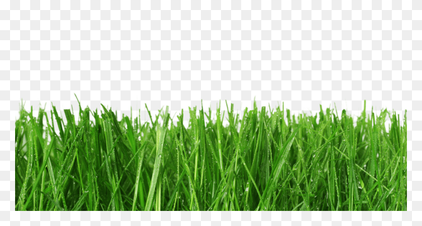 920x460 Grass Drawing Tumblr Grass Drawing Tumblr Printable Grass, Plant, Lawn HD PNG Download