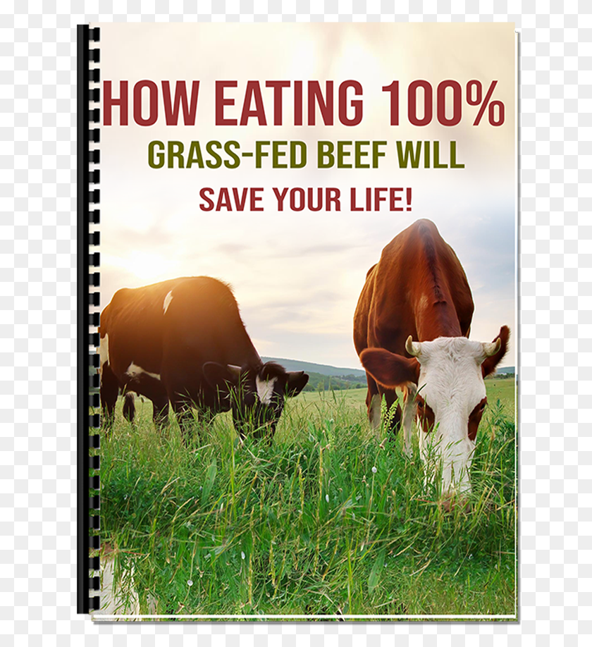 638x858 Grass Fed Beef, Cow, Cattle, Mammal HD PNG Download
