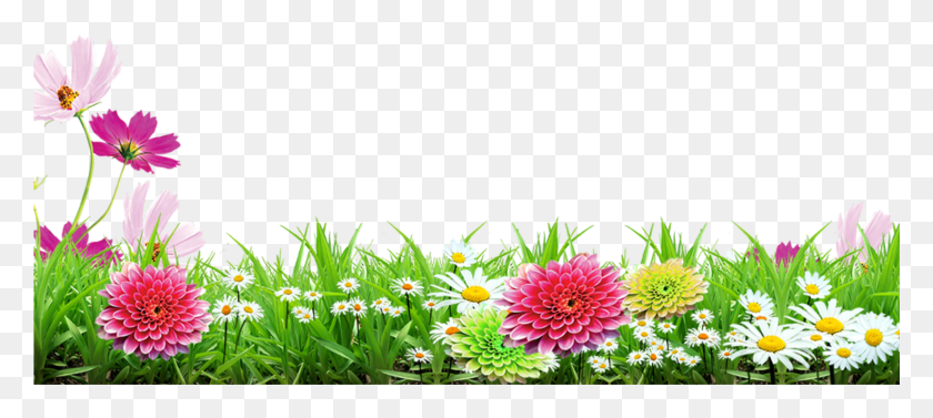 1916x780 Grass Flower Transparent Stickers Picsart Frames Grass Amp Flower Background, Dahlia, Plant, Blossom HD PNG Download