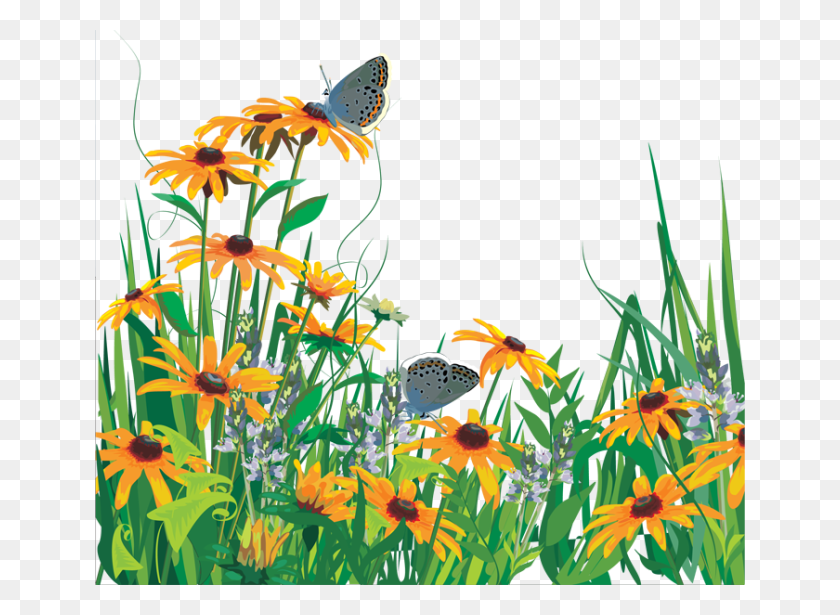 650x555 Трава Цветы Бабочки Ftestickers Cveti I Babochki, Растение, Цветок, Цветение Hd Png Скачать