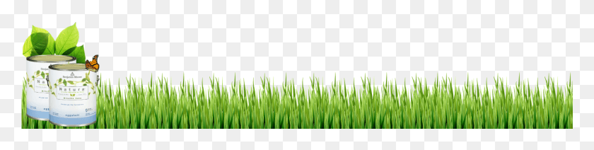 1601x314 Grass Footer Web Design, Plant, Green, Lawn HD PNG Download