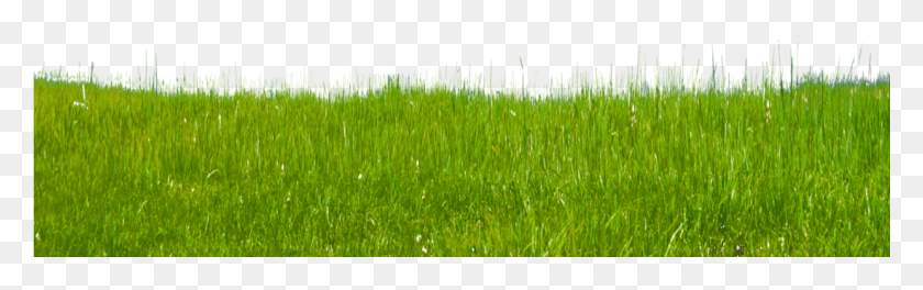 1099x288 Grass Free Green Grass, Plant, Lawn, Agropyron HD PNG Download