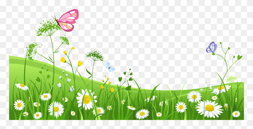 4744x2254 Трава Зеленая Трава С Цветочным Фоном, Растение, Весна, Цветение Hd Png Скачать
