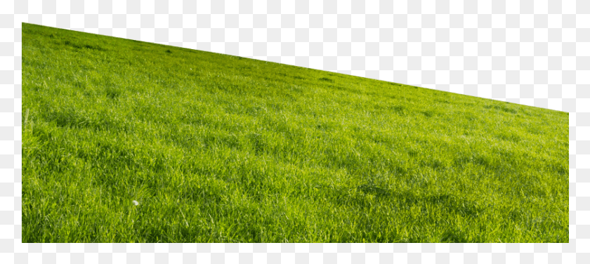 838x340 Grass Hill, Plant, Lawn, Field HD PNG Download