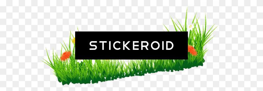 Grass Green Grass Picture, Planter, Vegetation, Vase, Jar Sticker PNG