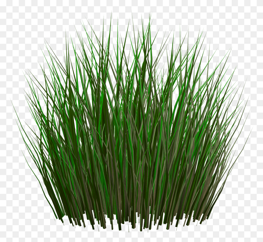 2167x1984 Grass Image Green Grass Picture Unity Grass Texture, Plant, Food, Lawn HD PNG Download