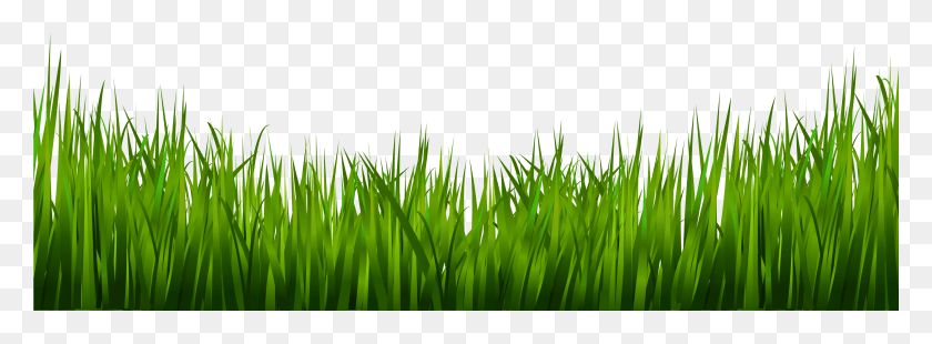 3349x1074 Grass Images Grass And Plants, Plant, Lawn, Green HD PNG Download