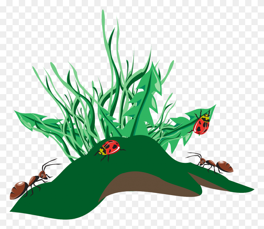 1280x1100 Grass Insects Dirt Weeds Ants Image Ants Clip Art, Graphics, Plant HD PNG Download