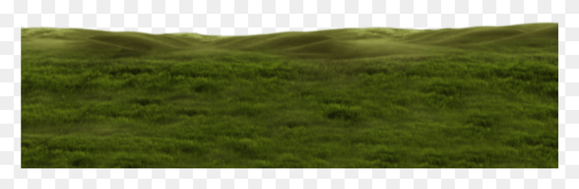 1921x531 Grass Mid Grass, Field, Grassland, Outdoors HD PNG Download