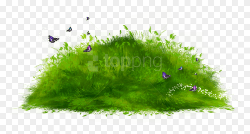 833x418 Grass Path Ground Images Background Grass Animated Gif, Nature, Bird, Animal HD PNG Download