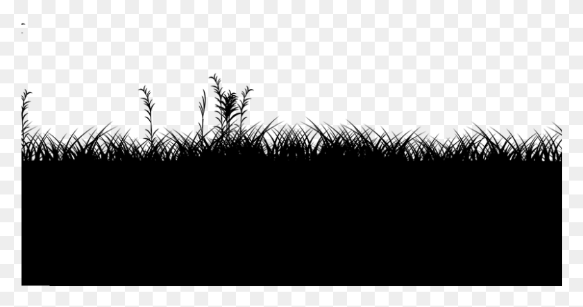 801x393 Grass Silhouette Clip Art Image Places To Visit Monochrome, Gray, World Of Warcraft HD PNG Download